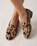 Leopardo